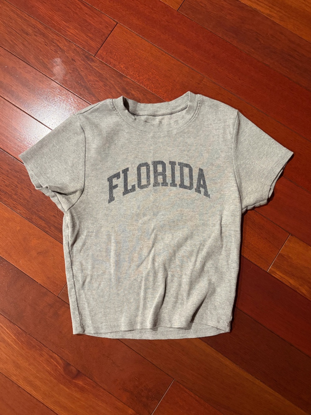 Gray Florida Graphic Tee